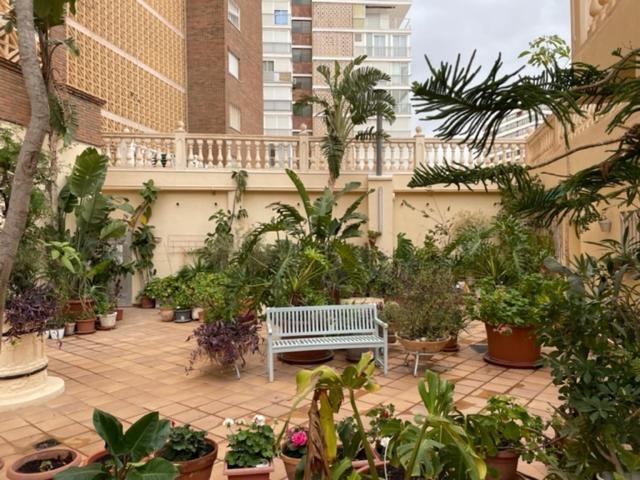 Precioso Apartamento A Estrenar En Primera Linea De Playa Benidorm Esterno foto